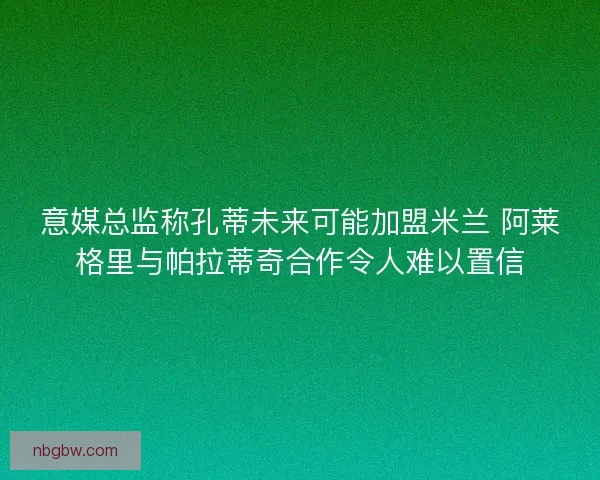 意媒总监称孔蒂未来可能加盟米兰 阿莱格里与帕拉蒂奇合作令人难以置信