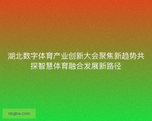 湖北数字体育产业创新大会聚焦新趋势共探智慧体育融合发展新路径
