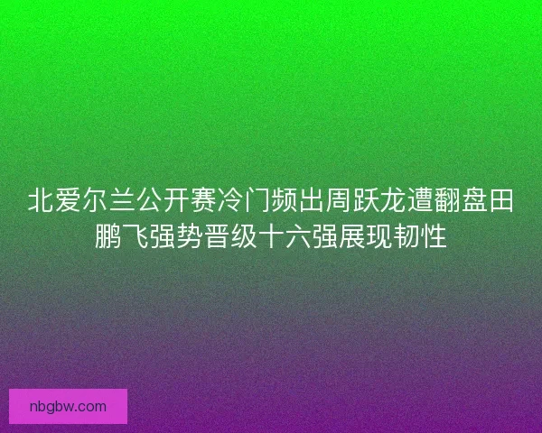 北爱尔兰公开赛冷门频出周跃龙遭翻盘田鹏飞强势晋级十六强展现韧性