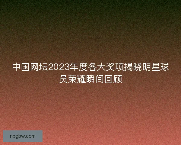 中国网坛2023年度各大奖项揭晓明星球员荣耀瞬间回顾